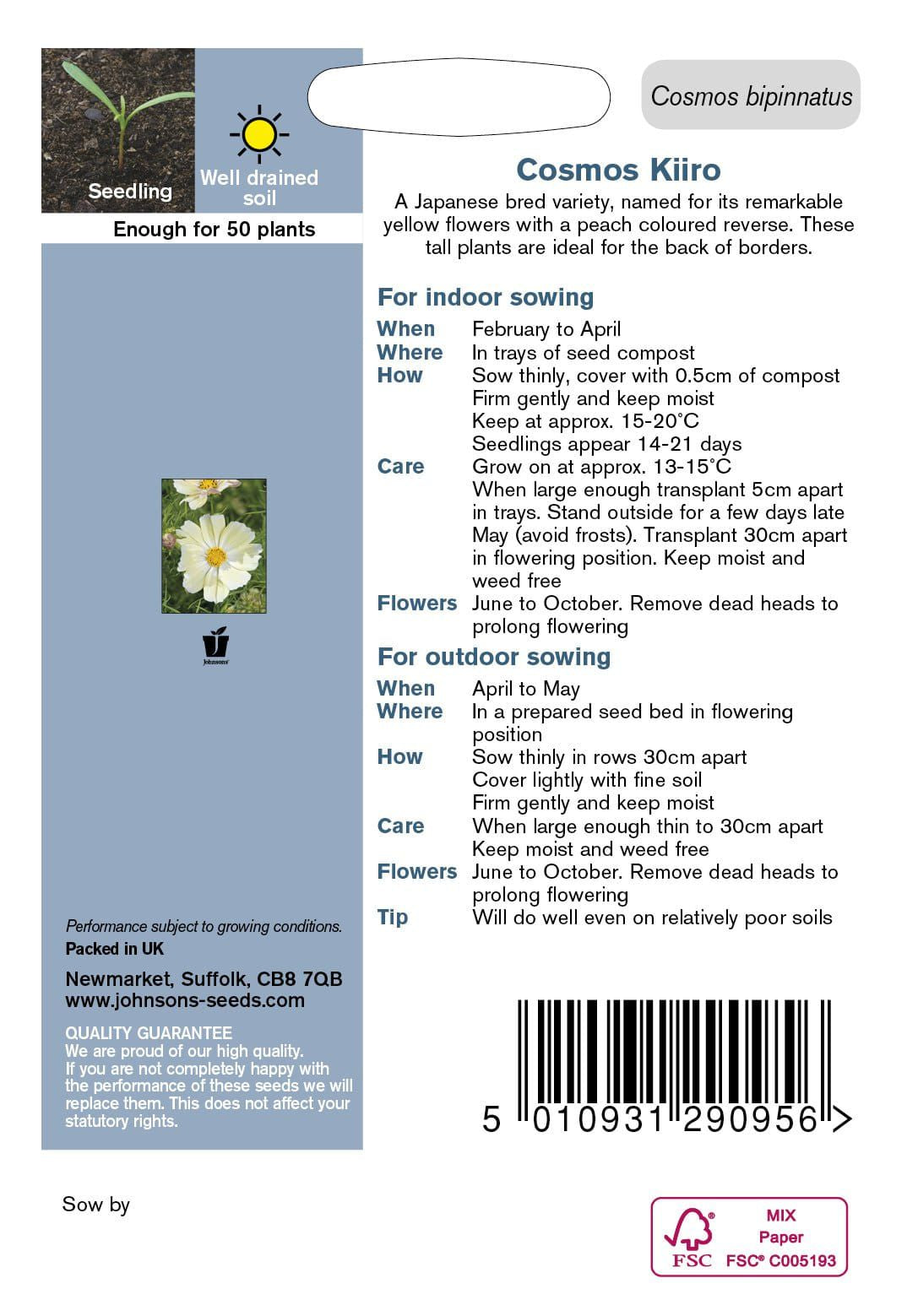 Johnsons Seeds Cosmos Kiiro 50 Seeds