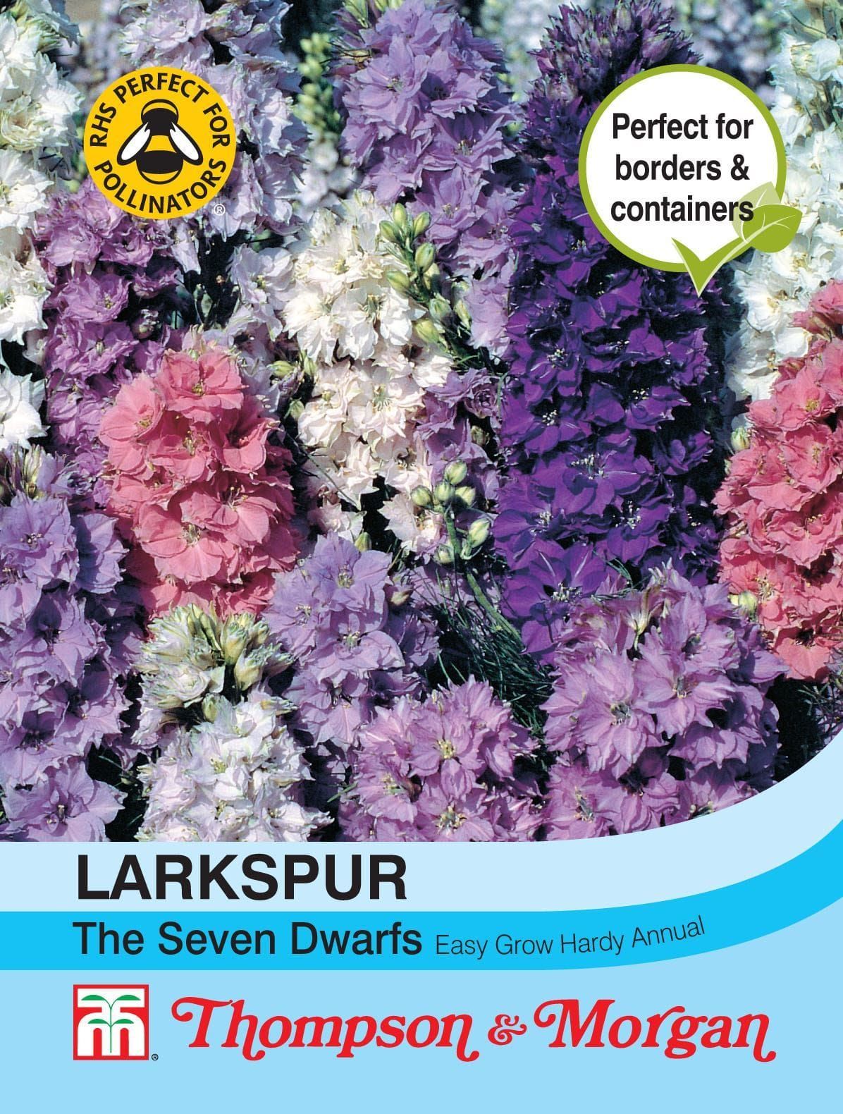 Thompson & Morgan Larkspur The Seven Dwarfs 150 Seed