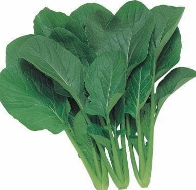 Komatsuna Japanese Green Boy Seeds