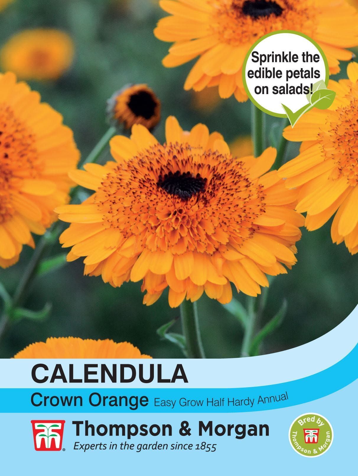 Thompson & Morgan - Flower - Calendula - Crown Orange - 50 Seeds