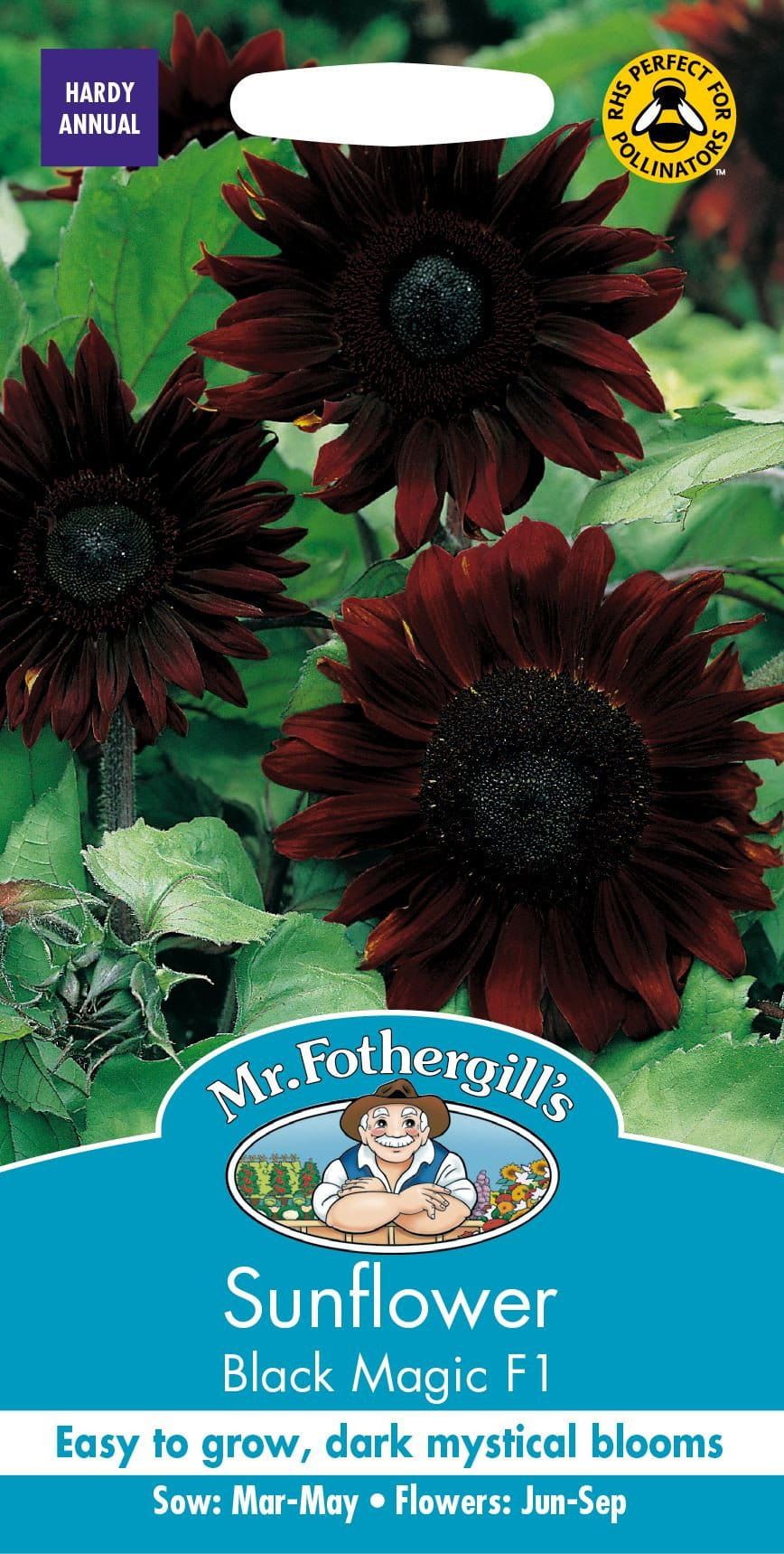 black seed sunflower plant Mr Fothergills Sunflower Black Magic F1 20 Seeds – JustSeed