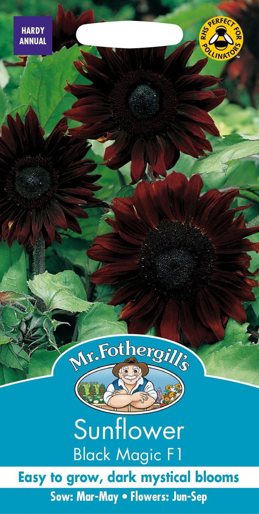 Mr Fothergills Sunflower Black Magic F1 20 Seeds