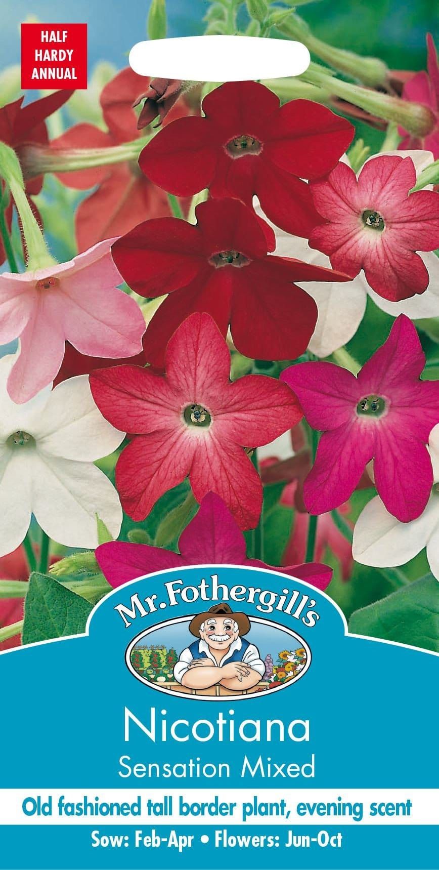 Mr Fothergills Nicotiana Sensation Mixed 2000 Seeds