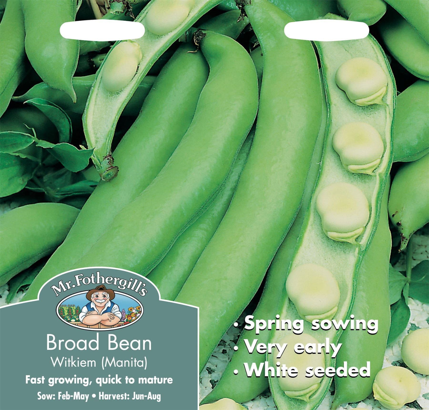 Mr Fothergills Broad Bean Witkiem Manita 45 Seeds