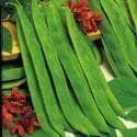 Runner Bean Butler Seeds