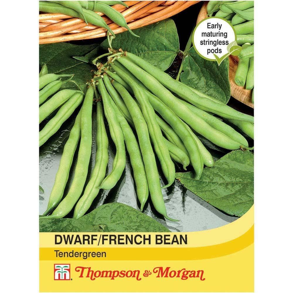 Thompson & Morgan Dwarf Bean Tendergreen 80 Seed