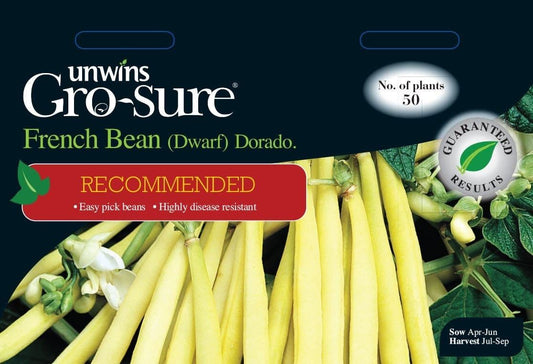 Unwins French Bean (Dwarf) Dorado 120 Seeds