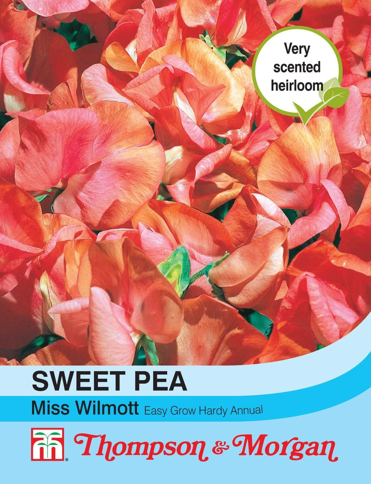Thompson & Morgan Sweet Pea Miss Willmott 20 Seed