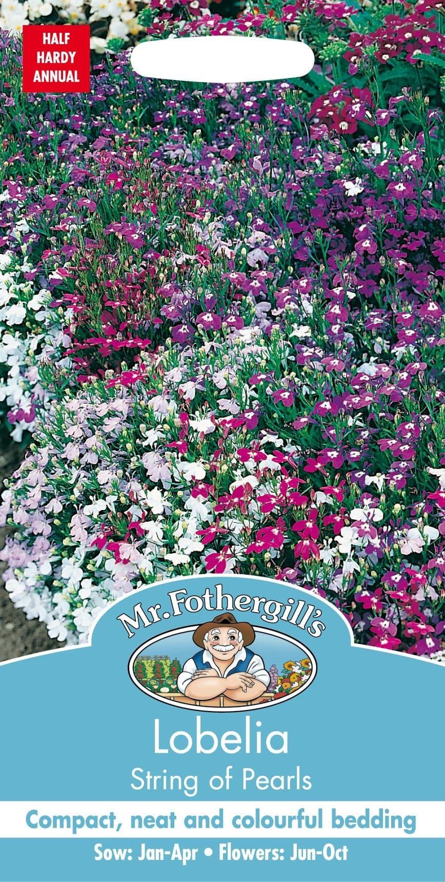 Mr Fothergills Lobelia String of Pearls 2500 Seeds