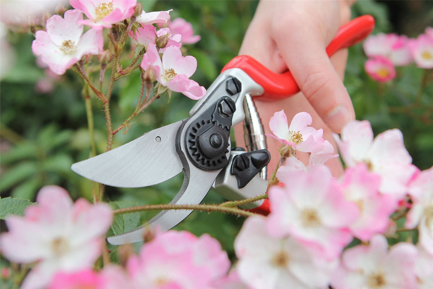 Darlac DP1030A Expert Bypass Pruner Garden Secateurs Cut Capacity 25mm UK SHIPPING ONLY