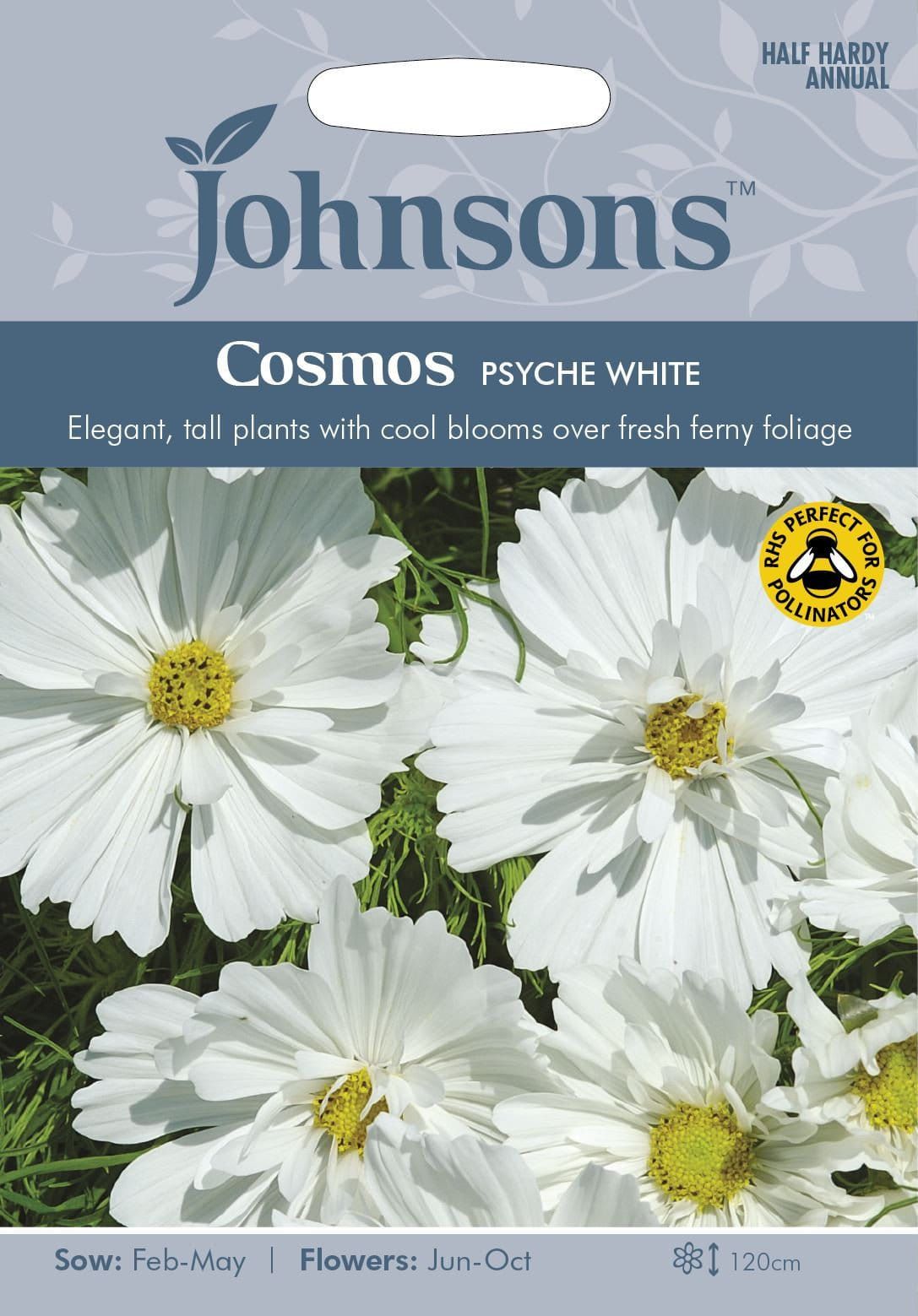 Johnsons Cosmos Psyche White 60 Seeds