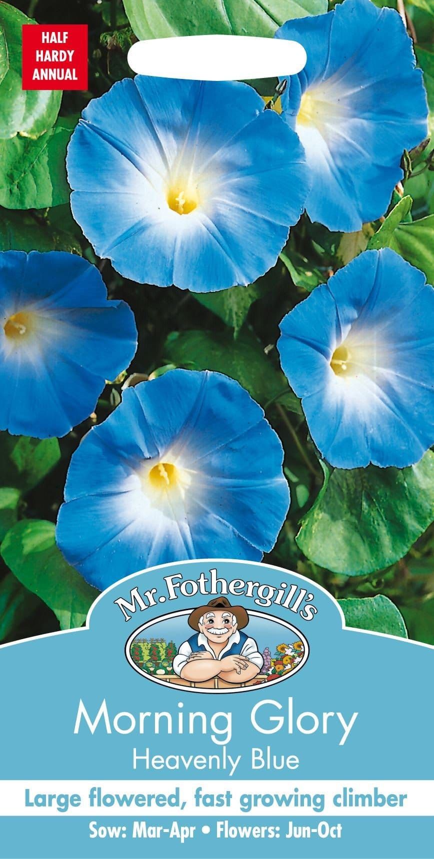 Mr Fothergills Morning Glory Heavenly Blue 45 Seeds