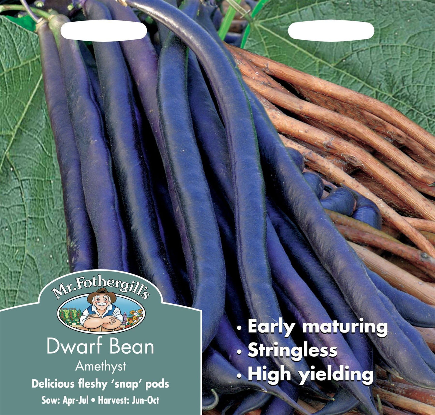 Mr Fothergills Dwarf Bean Amethyst 100 Seeds