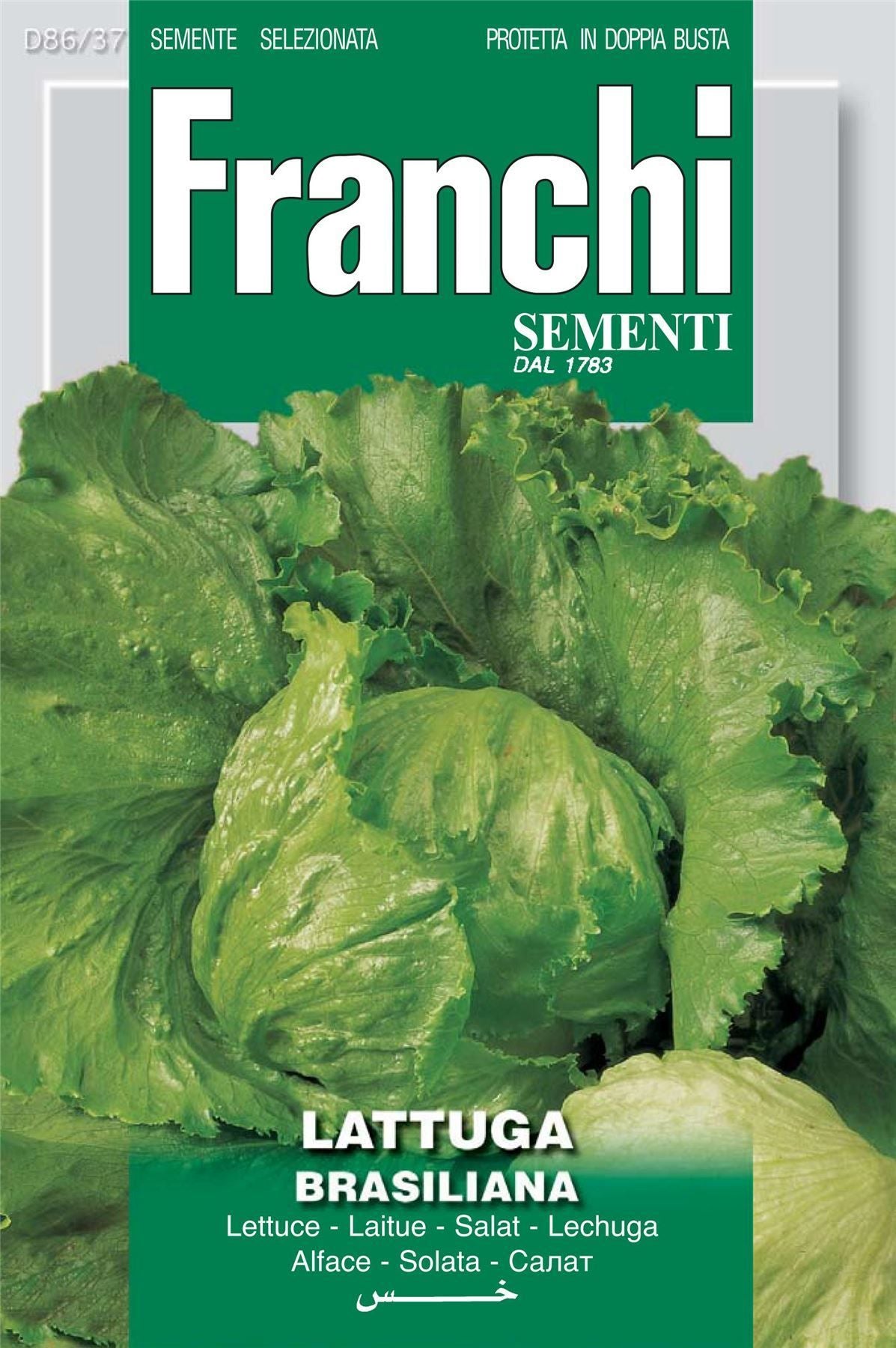 Franchi Seeds of Italy Lettuce Brasiliana Seeds