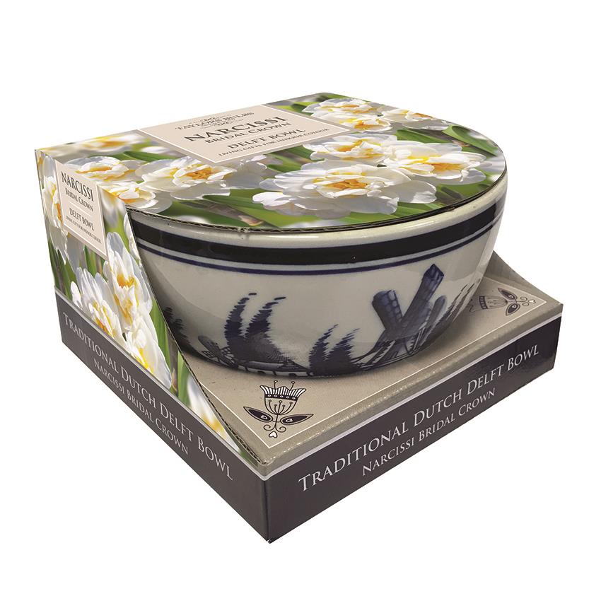 Taylors - Gift - Daffodil Bridal Crown Delft Bowl Showcase - 4 bulbs