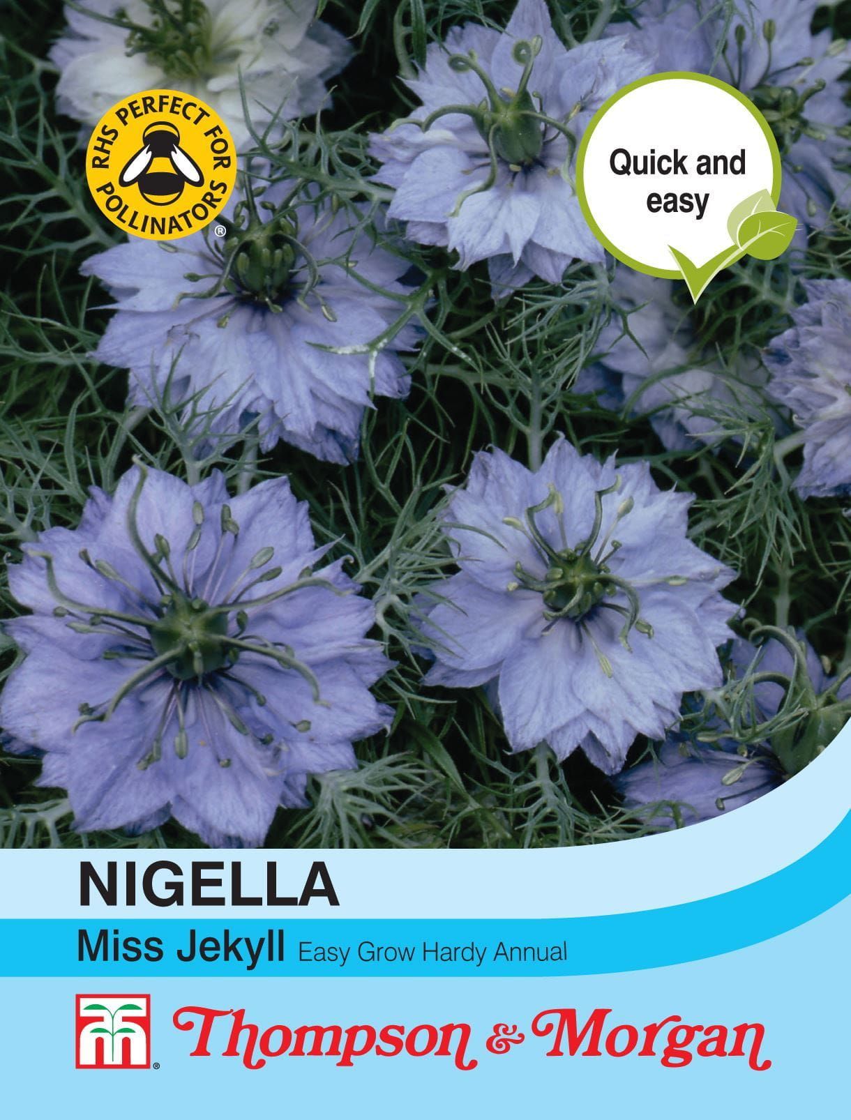 Thompson & Morgan Nigella Miss Jekyll 685 Seed