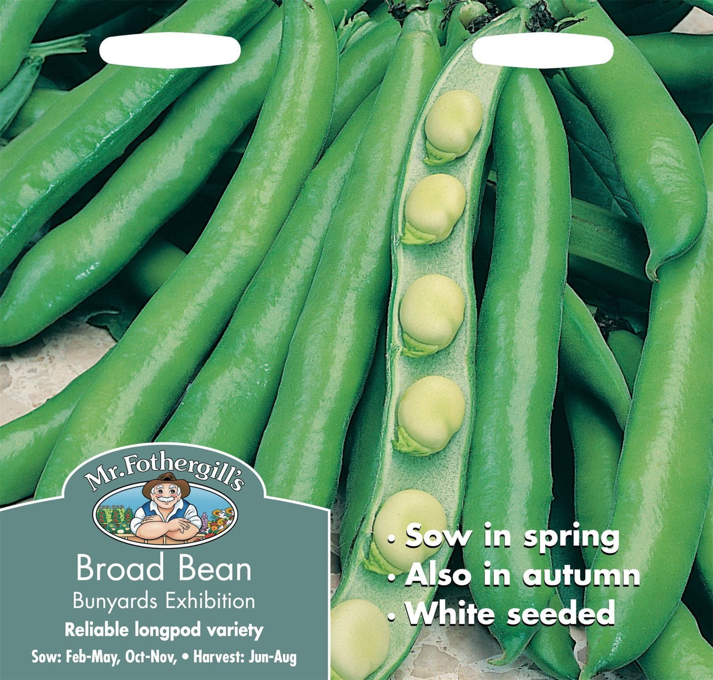Mr Fothergills Broad Bean Bunyards Exhibition 50 Seeds