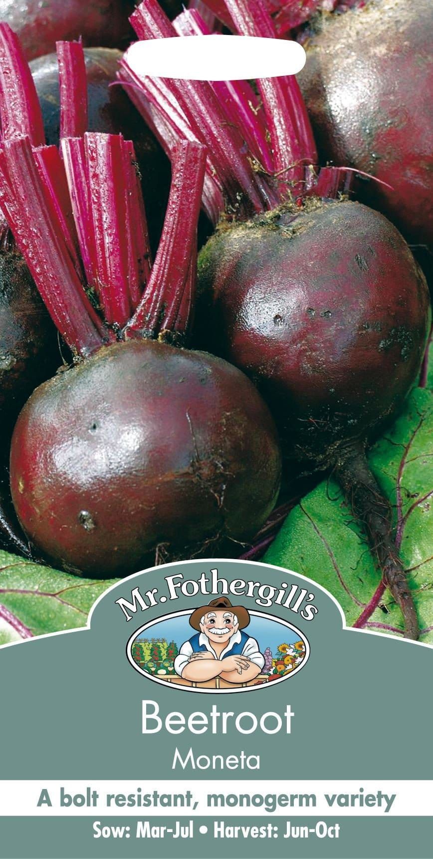 Mr Fothergills Beetroot Moneta 150 Seed