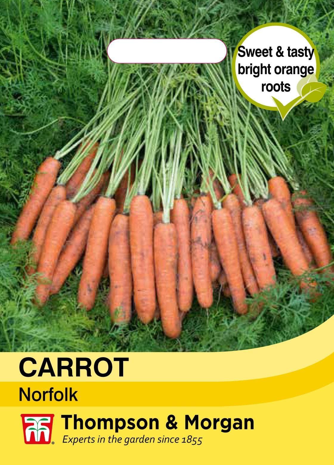 Thompson & Morgan Vegetable Carrot Norfolk - 300 Seeds