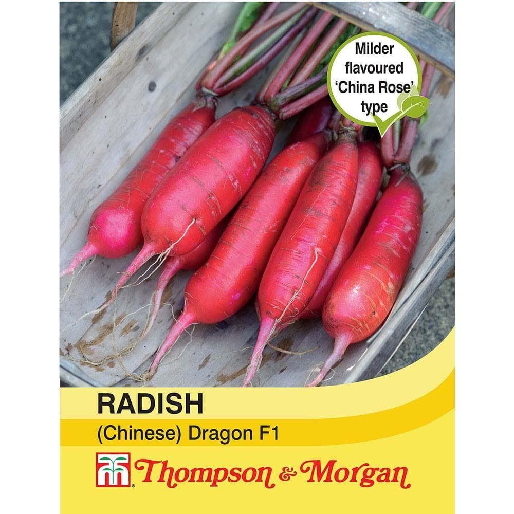 Thompson & Morgan Radish (Chinese) Dragon F1 Hybrid 60 Seed