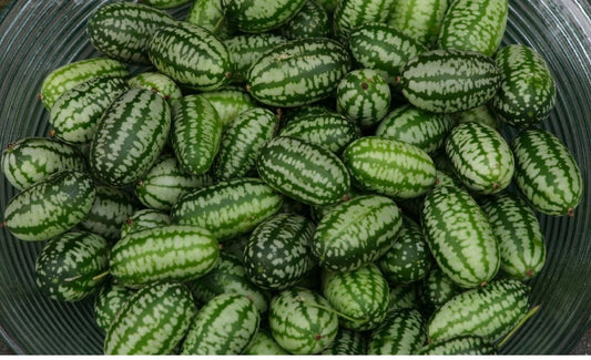 Cucamelon Seeds – Mexican Sour Gherkin