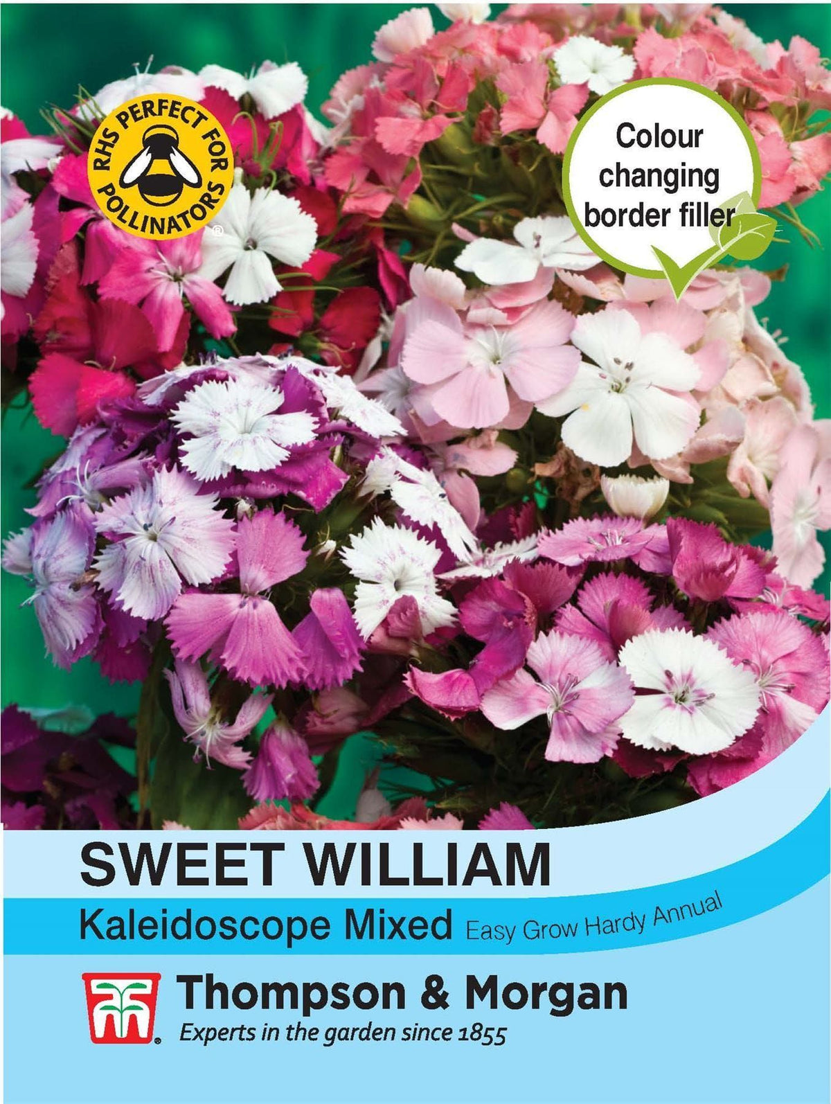 Thompson & Morgan Sweet William Kaleidoscope Mixed 40 Seed