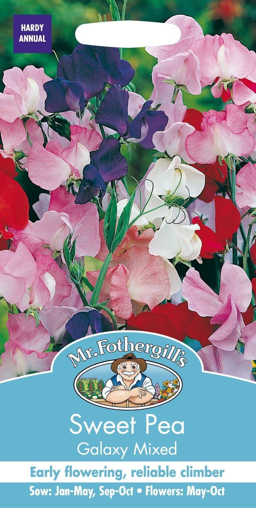 galaxy flower seeds Mr Fothergills Sweet Pea Galaxy Mixed 35 Seeds – JustSeed