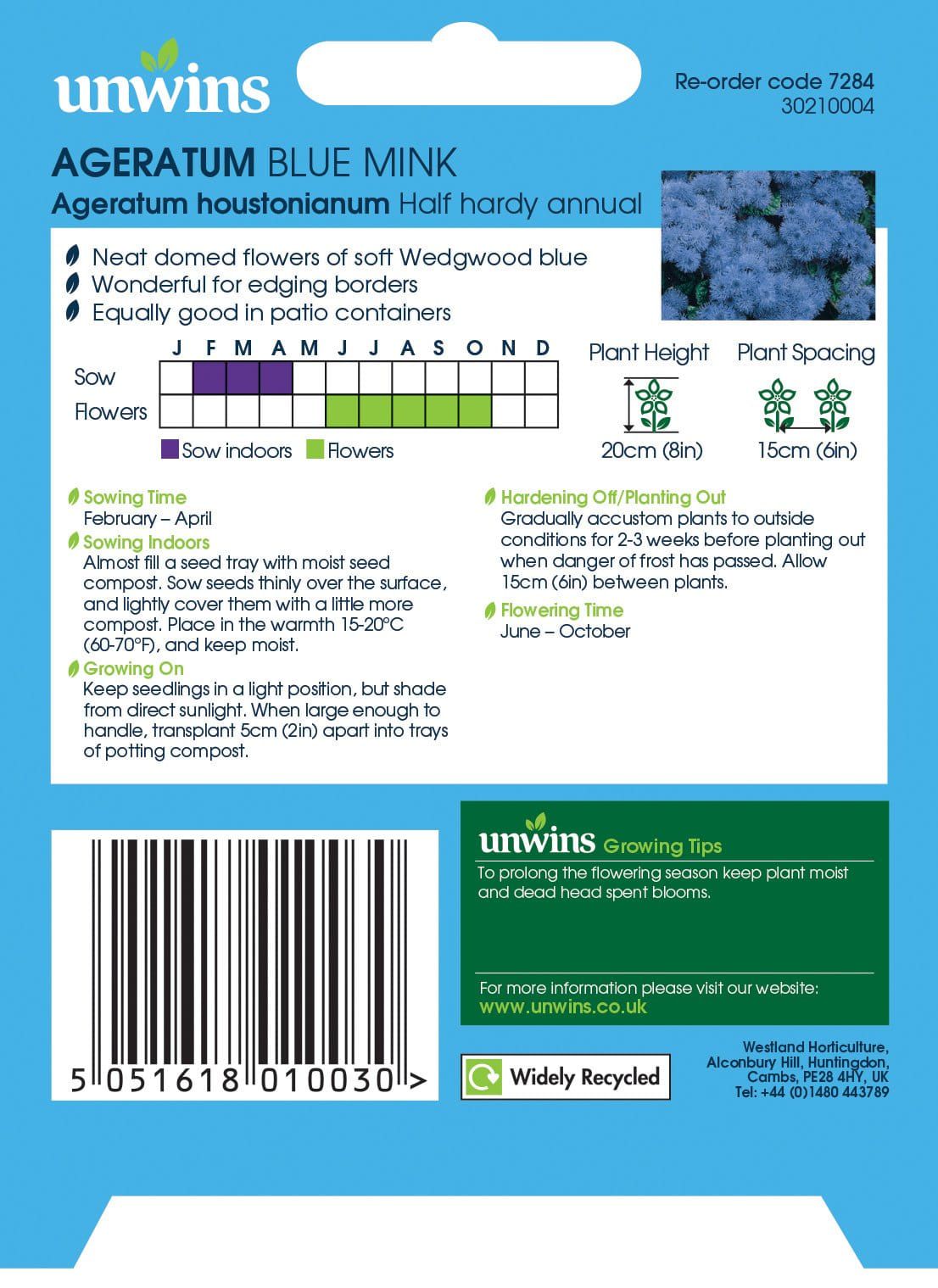 Unwins Ageratum Blue Mink 1200 Seeds