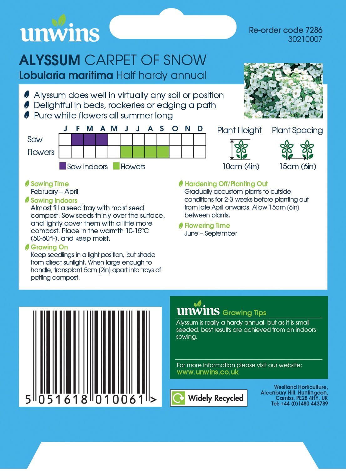 Unwins Alyssum Carpet Of Snow 800 Seeds