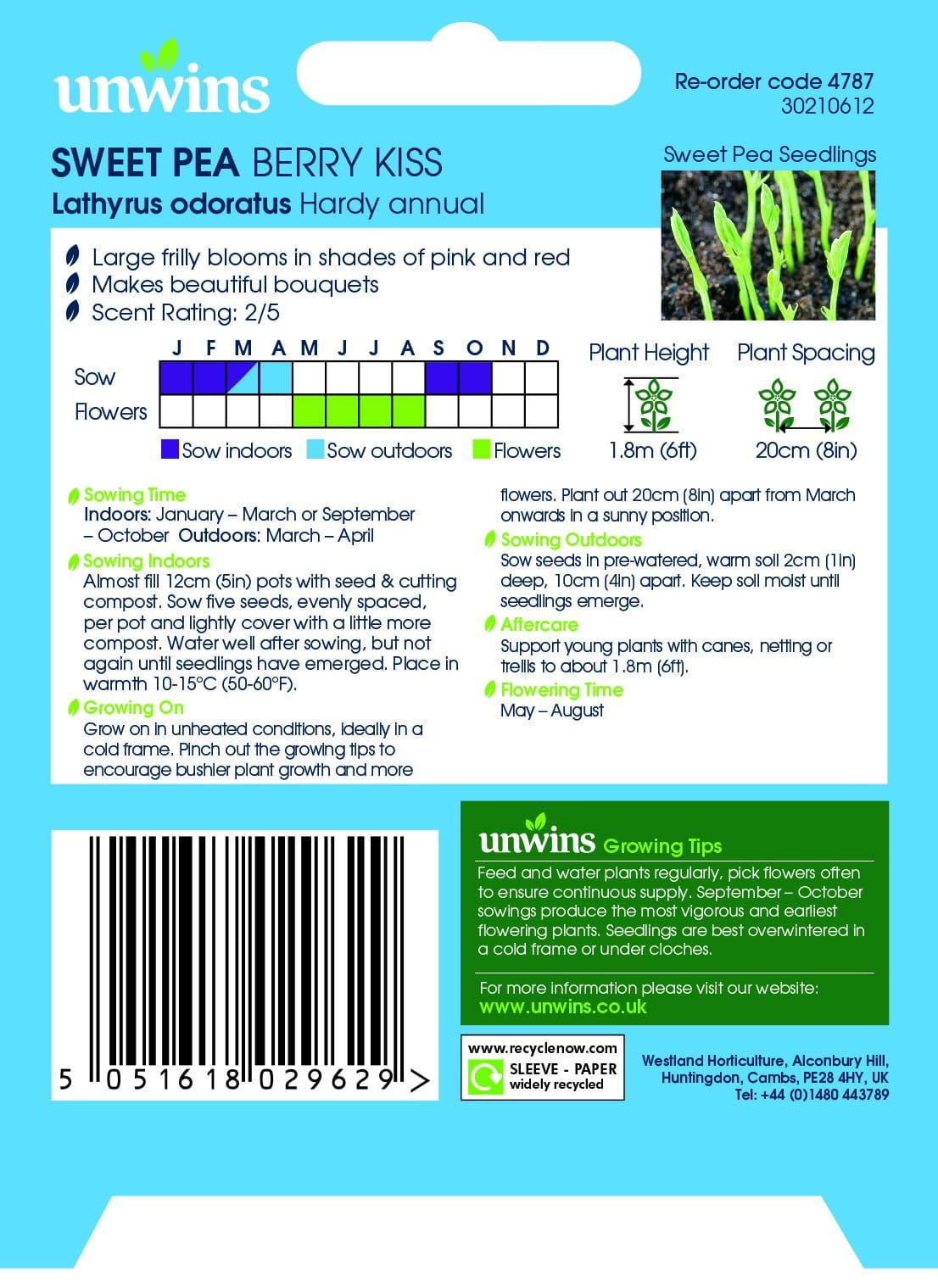 Unwins Sweet Pea Berry Kiss 21 Seeds