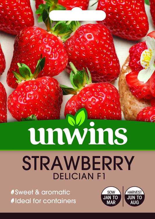 Unwins Strawberry Delician 10 Seeds