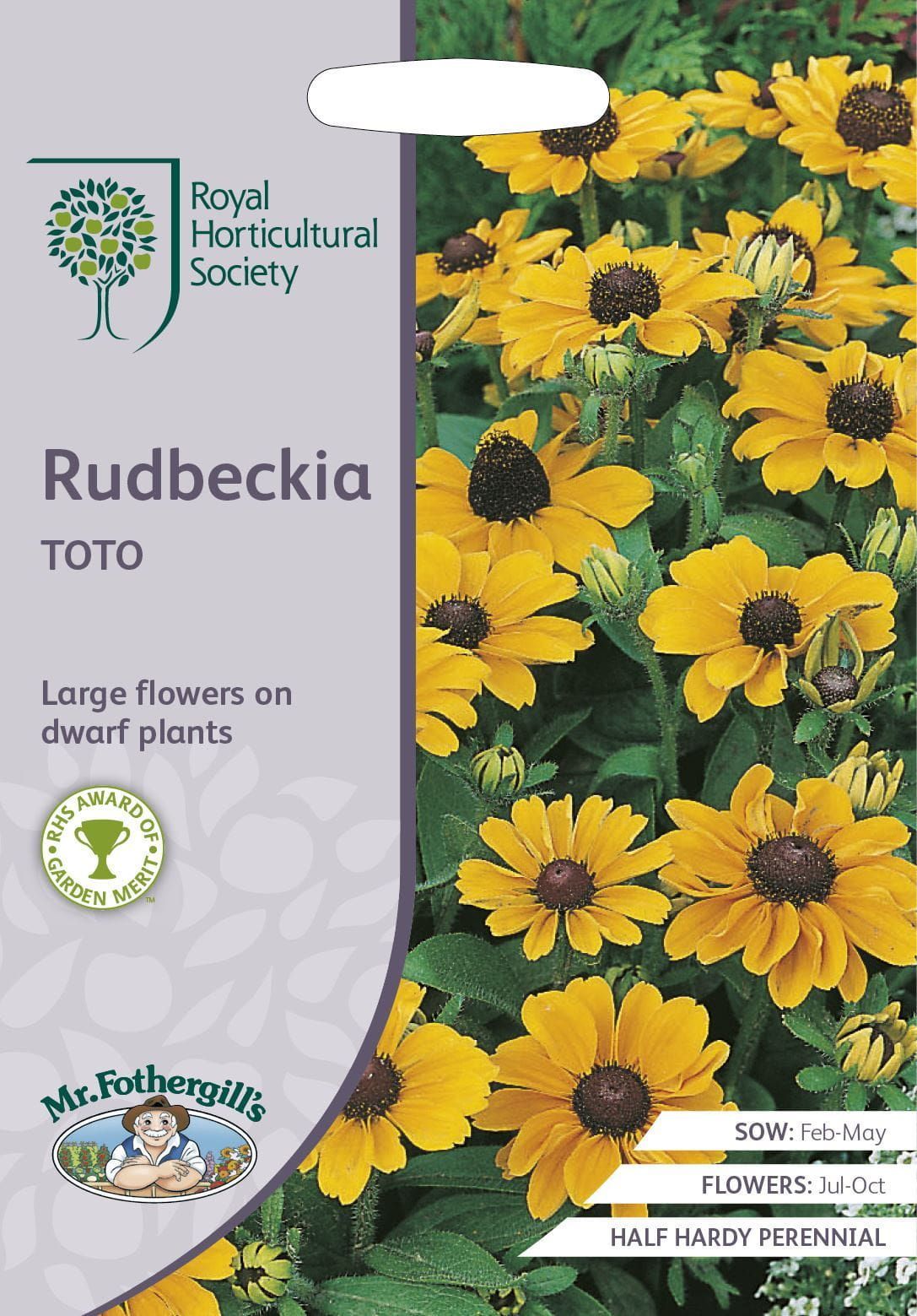 Mr Fothergills RHS Rudbeckia Toto 50 Seeds