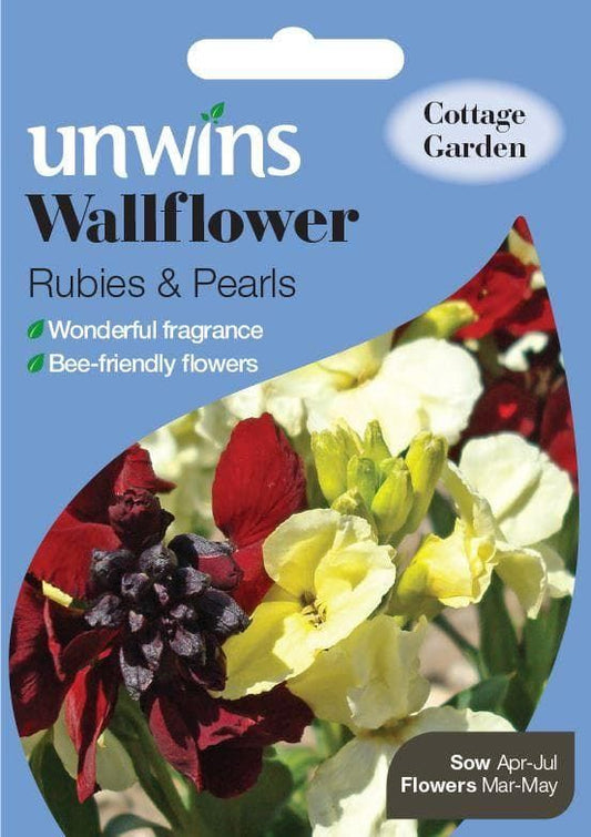 Unwins Wallflower Rubies & Pearls 30 Seeds