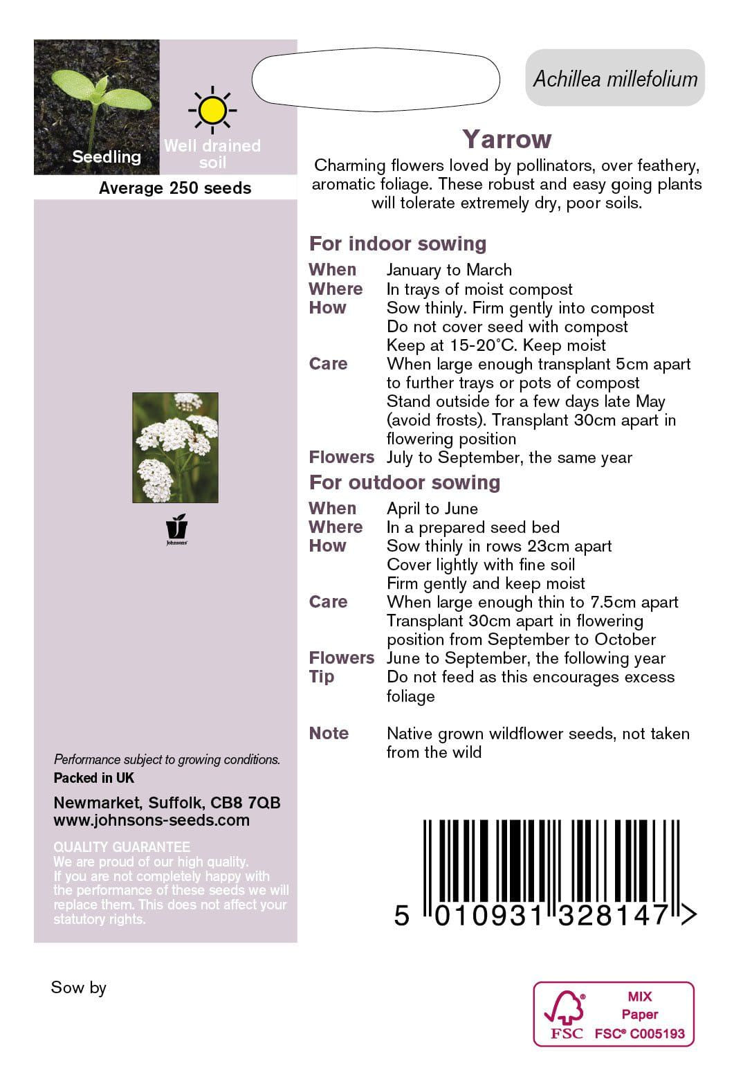 Johnson Seeds - Wild Flower - Yarrow - 250 Seeds