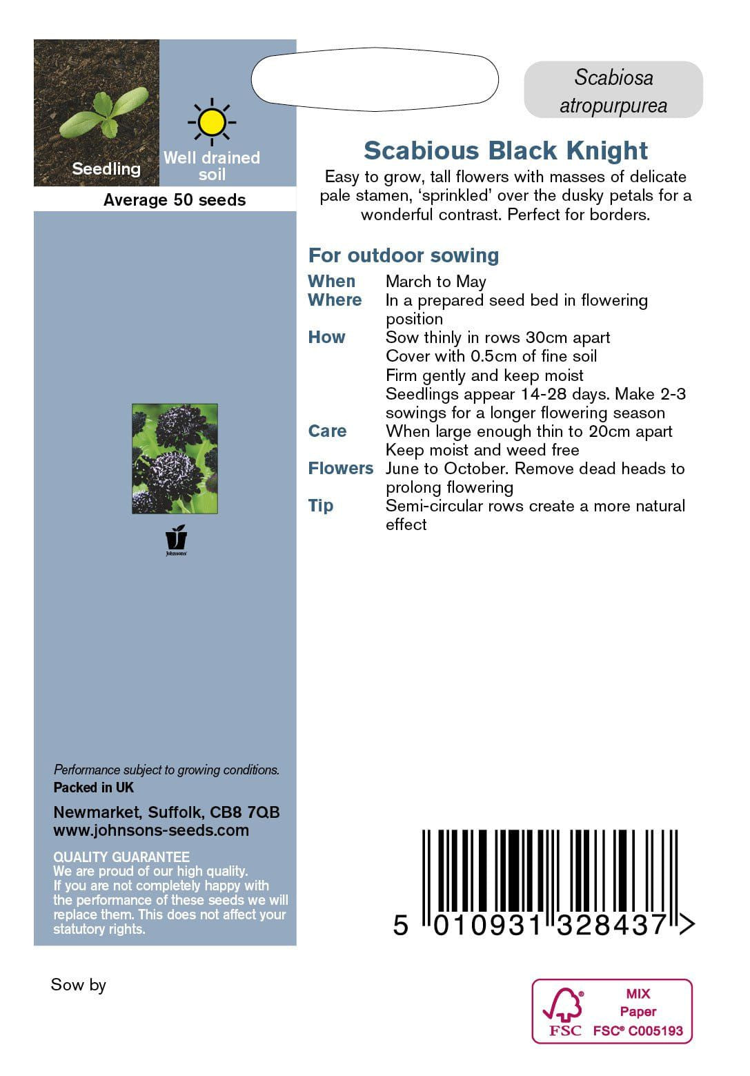 Johnson Seeds - Flower - Scabious Black Knight - 50 Seeds