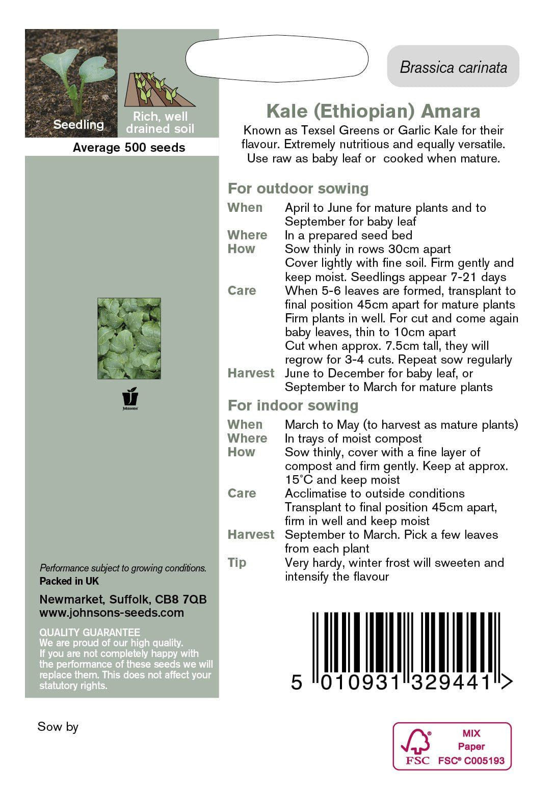 Johnson Seeds - Vegetable - Kale Ethiopian Amara - 500 Seeds