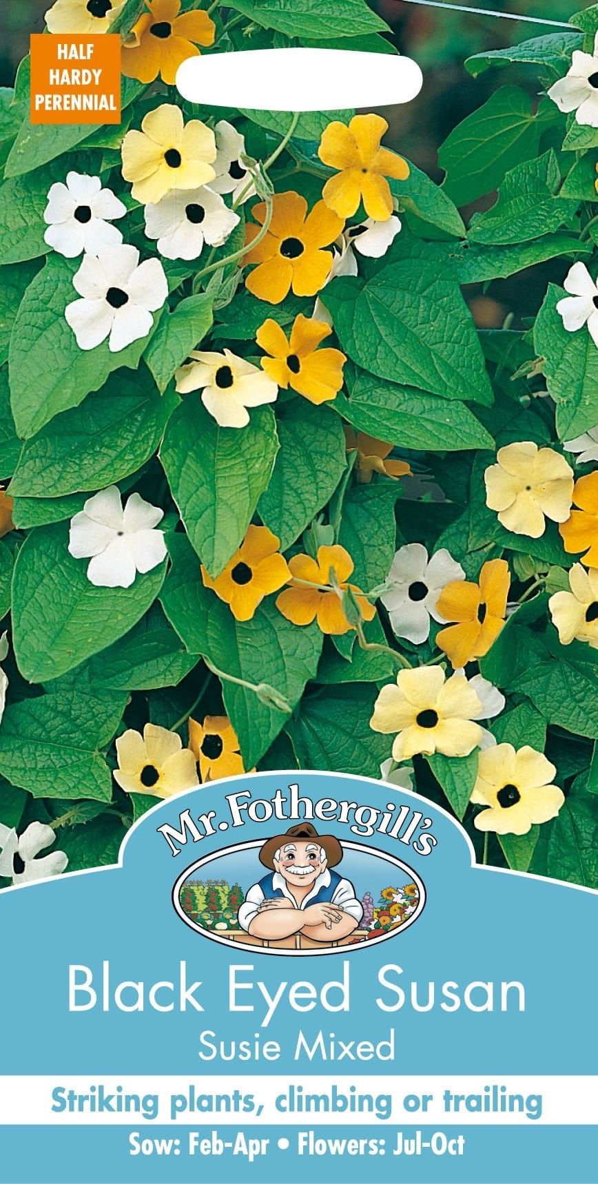 Mr Fothergills Black Eyed Susan Susie mixed 20 Seeds