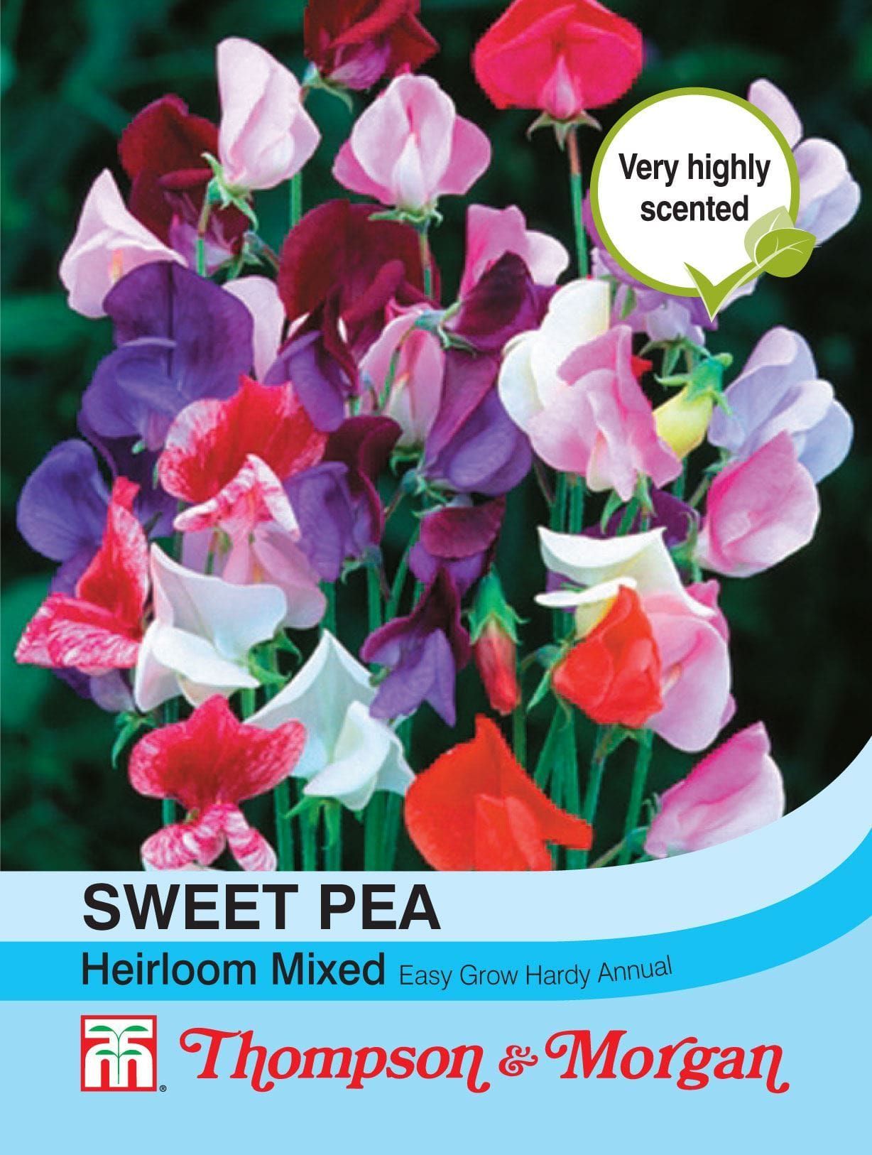 Thompson & Morgan Sweet Pea Heirloom Mix 20 Seed