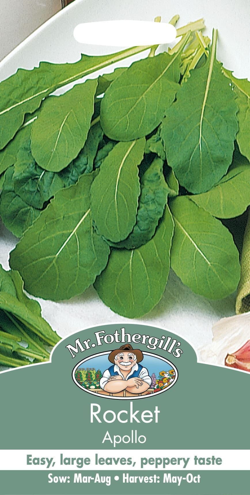 Mr Fothergills Herb Rocket Apollo 500 Seeds