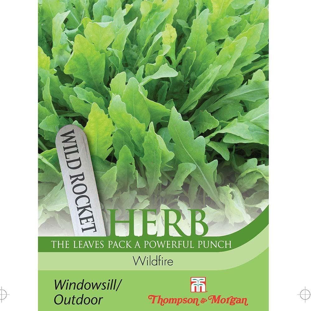 Thompson & Morgan - Herb - Wild Rocket - Wildfire - 500 Seeds