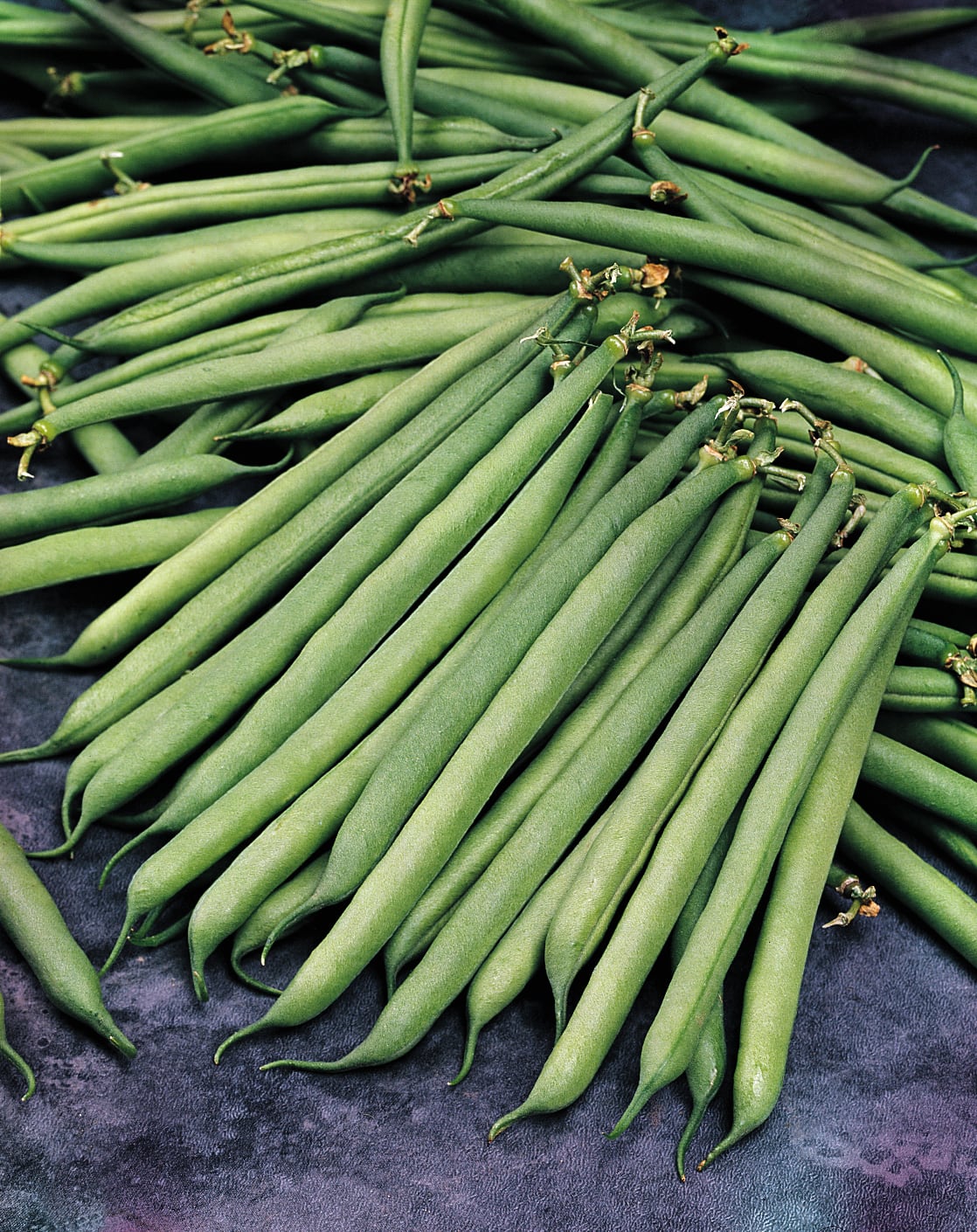 Dwarf French Bean Safari Seeds