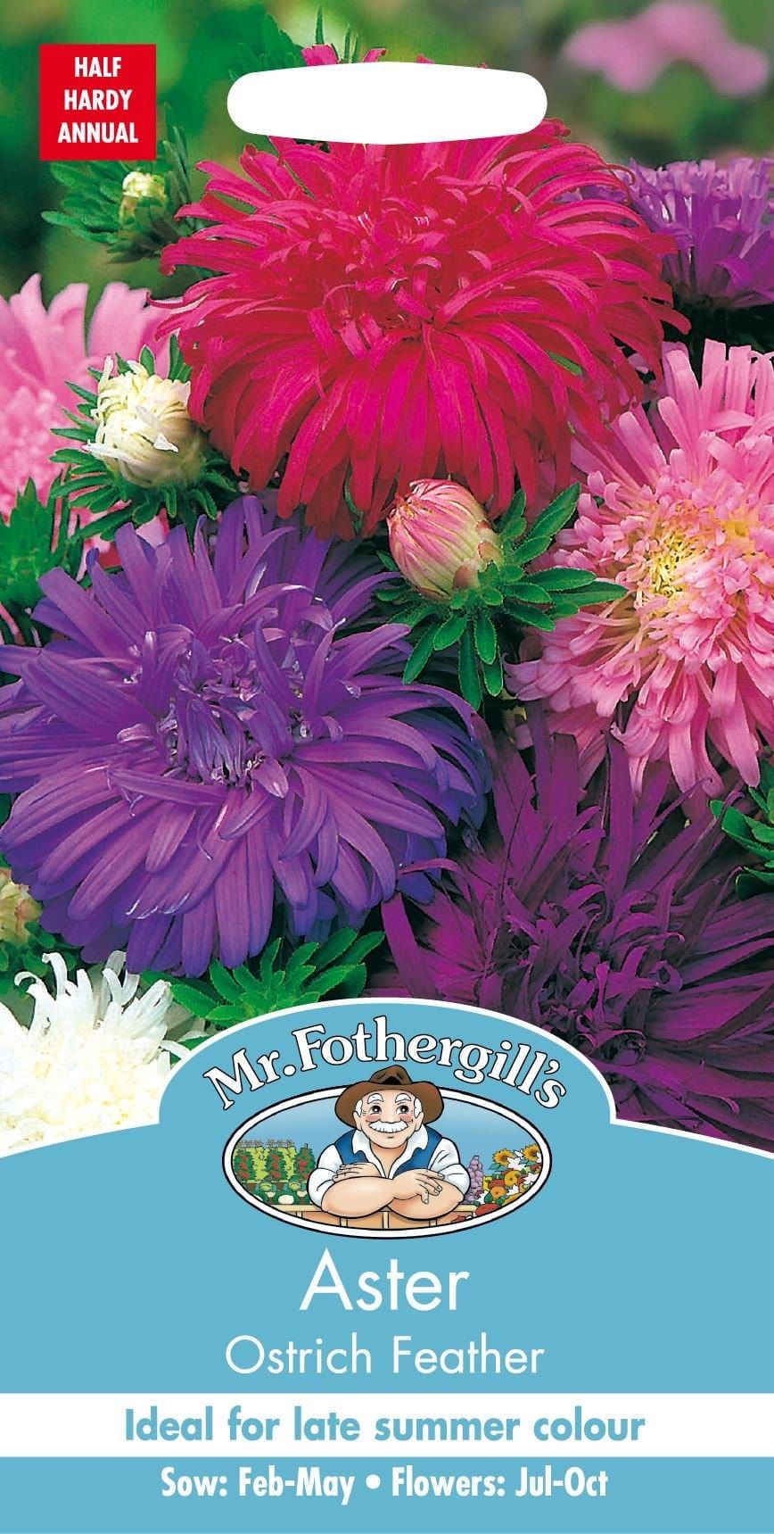 Mr Fothergills Aster Ostrich Feather 250 Seeds