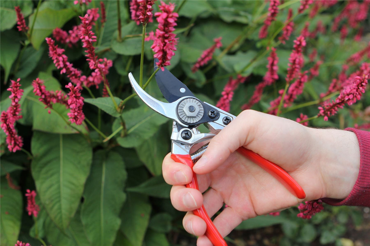 Darlac DP930 Professional Pruner Garden Secateurs UK SHIPPING ONLY