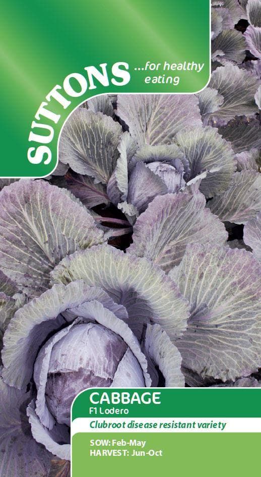 Sutton Seeds - Cabbage Seeds - F1 Lodero