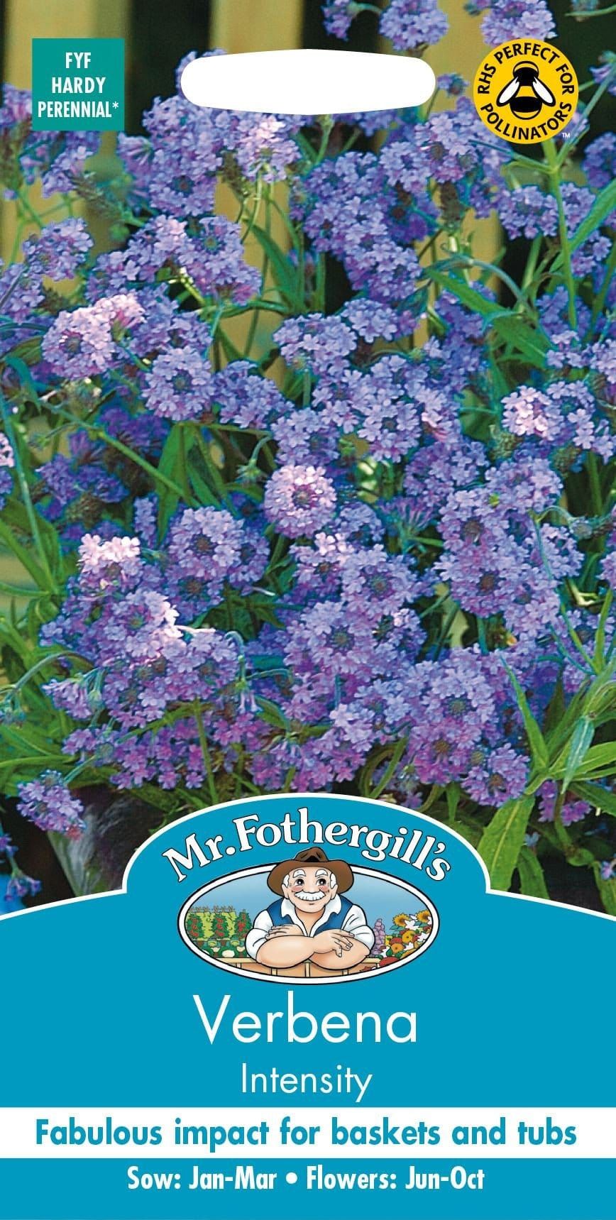 Mr Fothergills Verbena Intensity 50 Seeds