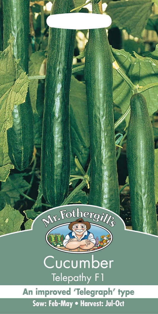 Mr Fothergills Cucumber Telepathy F1 10 Seeds