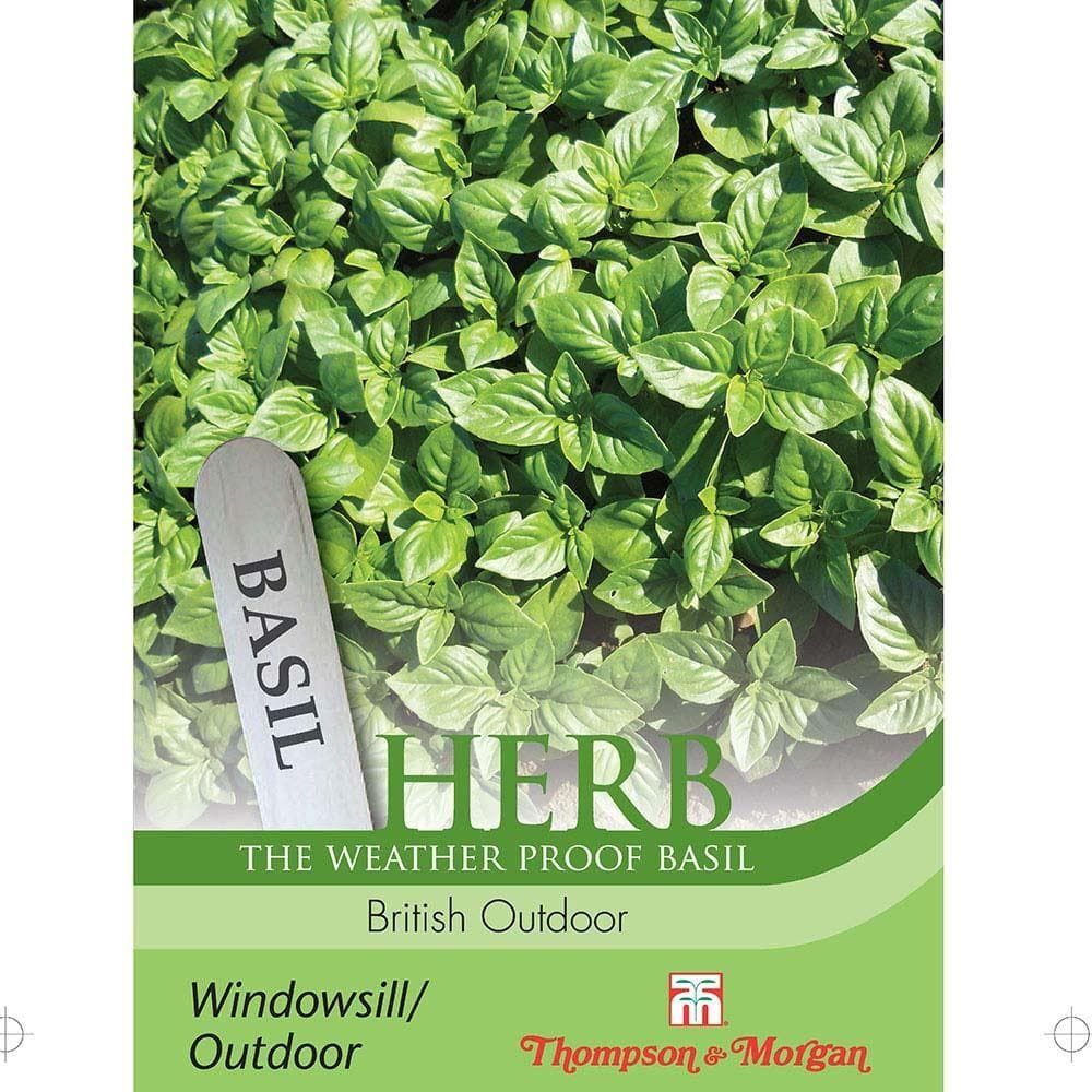 Thompson & Morgan - Herb - Basil - British Outdoor - 100 Seeds