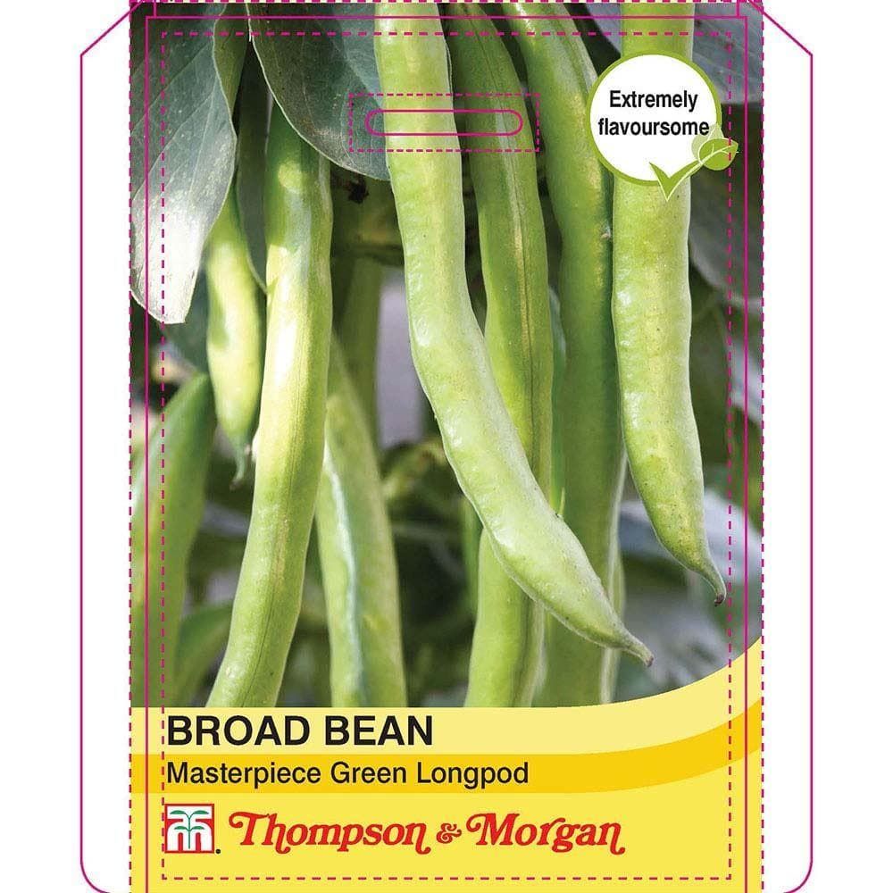 Thompson & Morgan Broad Bean Masterpiece Green Longpod 30 Seed