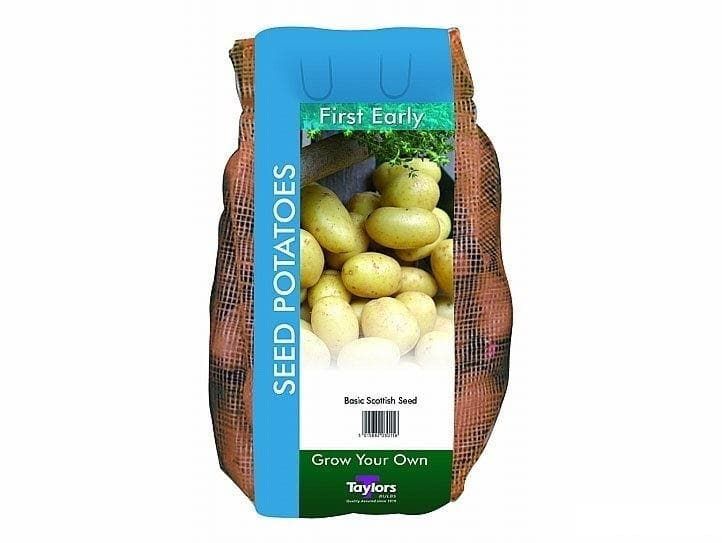 Taylors Seed Potatoes Pentland Javelin 2kg First Early