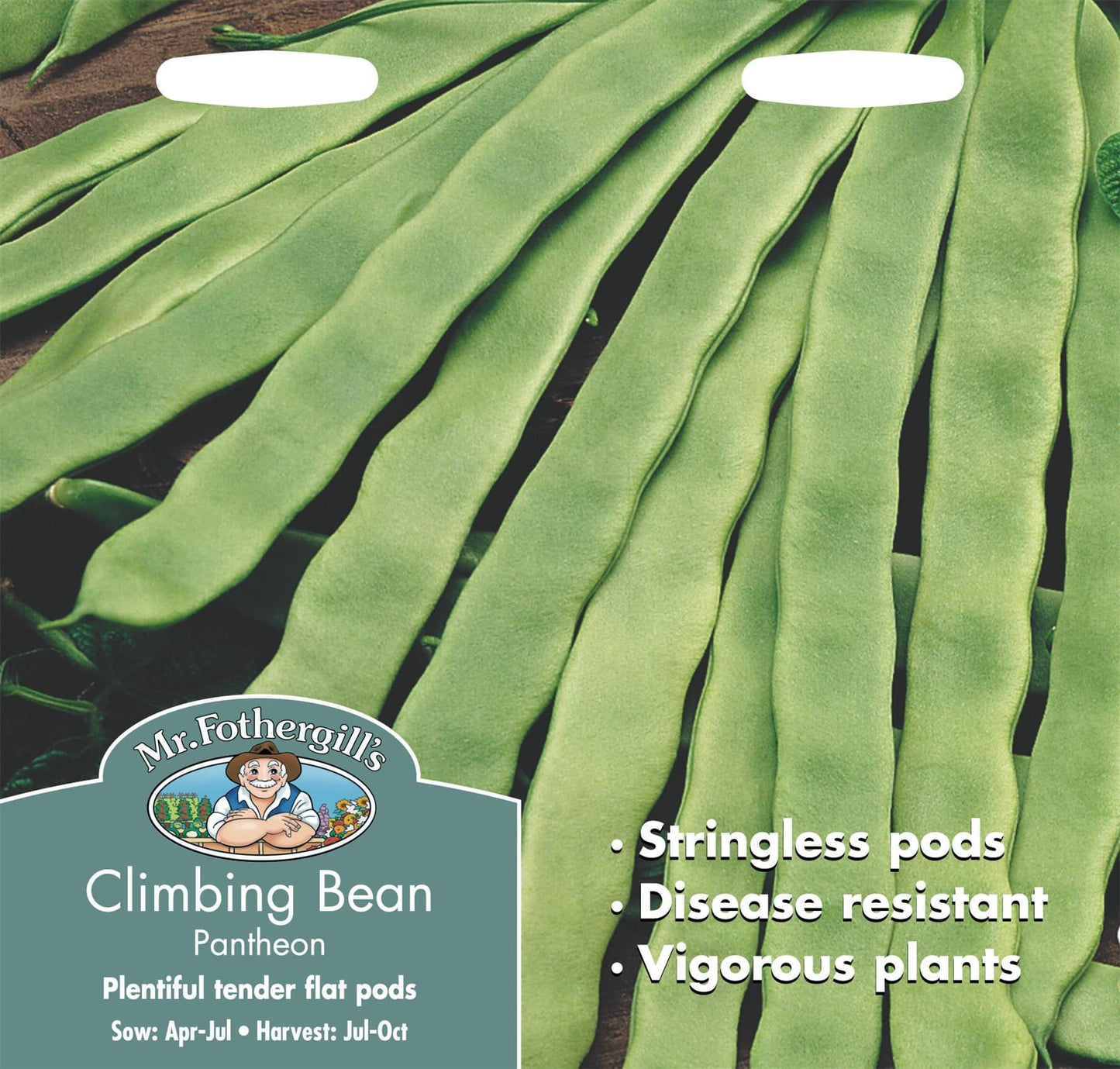 Mr Fothergills Climbing Bean Pantheon 50 Seeds